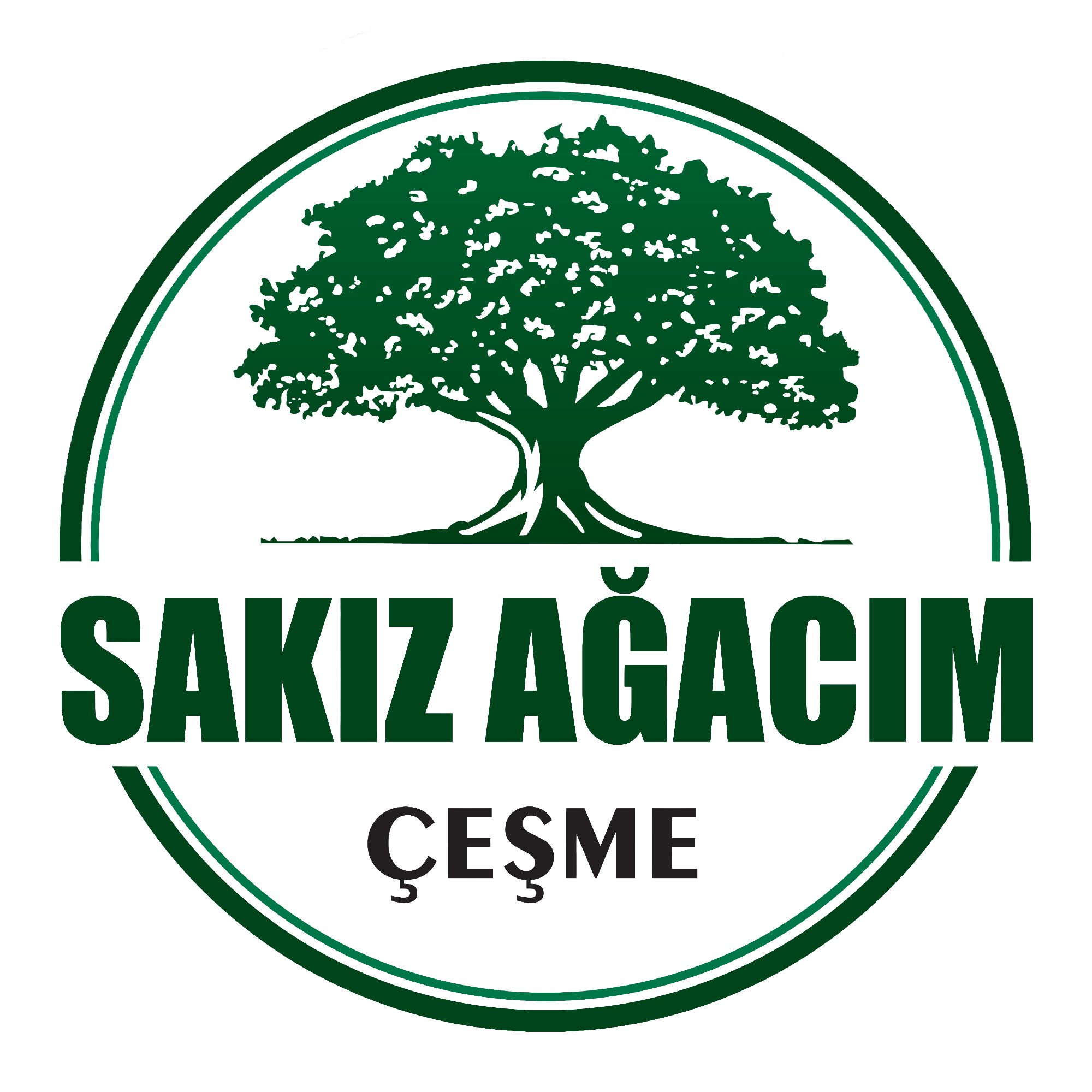 Sakız Ağacım